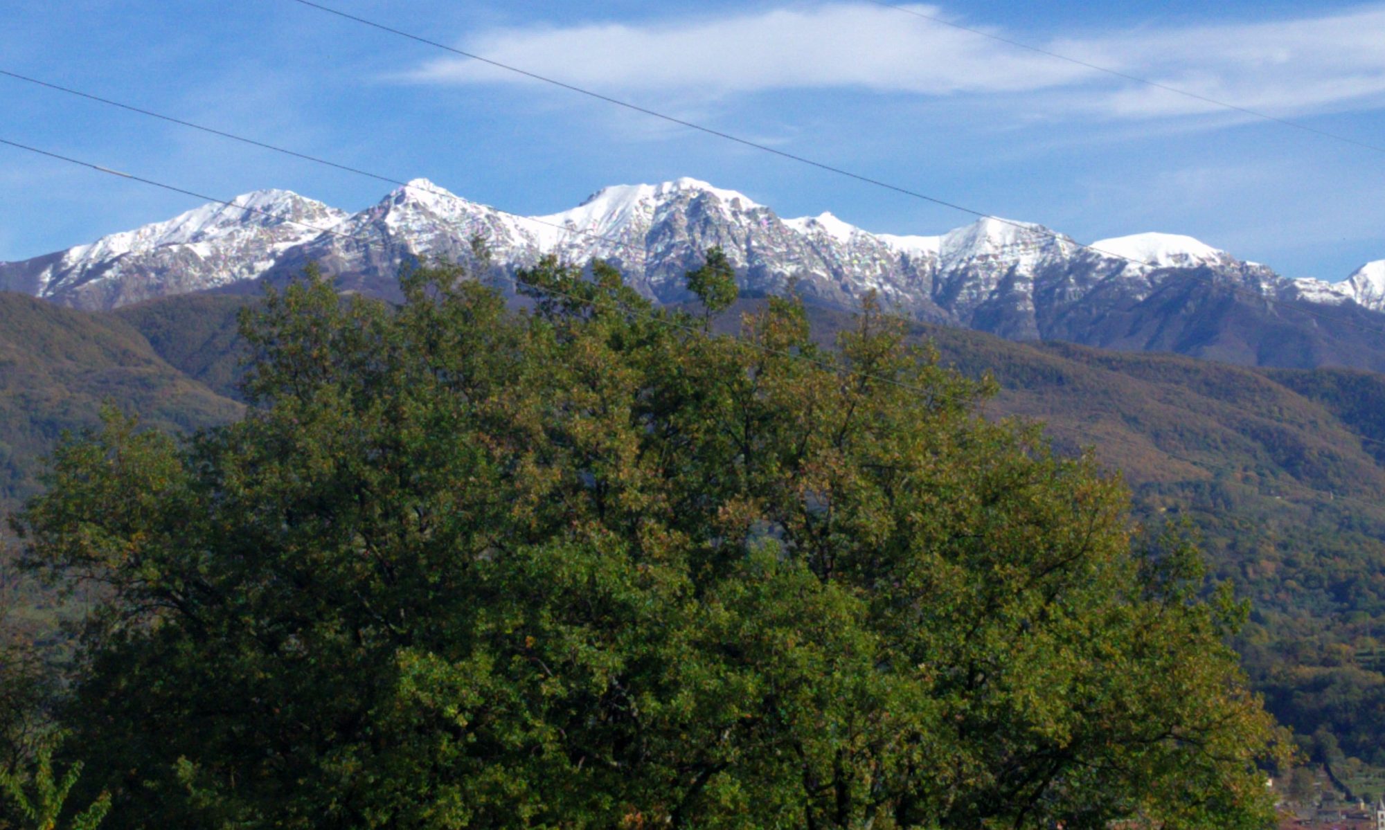 Ca` Del Vescovo